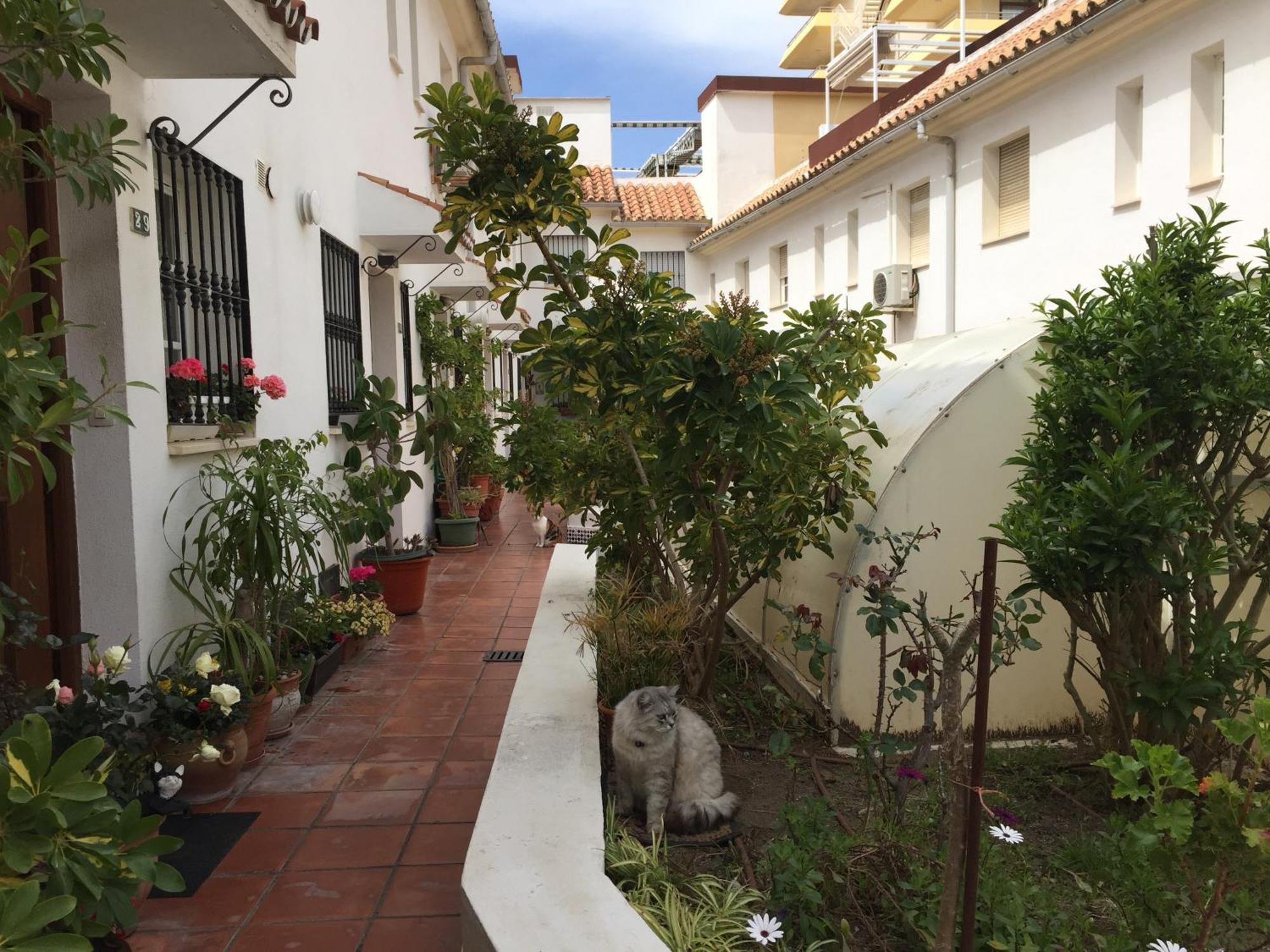 El Cortijuelo. Magnificent Triplex Terraced House With Rooftop Of 18M2, Overlooking The Sea. Parking Торемолинос Екстериор снимка